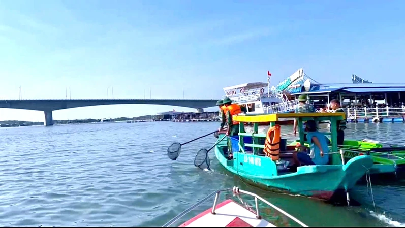 Bộ đội Biên phòng TP.HCM hỗ trợ thu gom, xử lý cá chết hàng loạt trên sông Chà Và