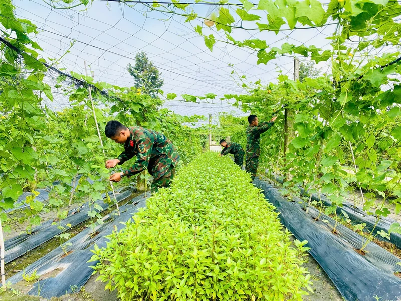 Tuổi trẻ Sư đoàn 5 hướng về Ngày truyền thống LLVT Quân khu 7  