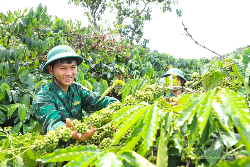 Xanh hóa biên cương, nâng cao đời sống bộ đội