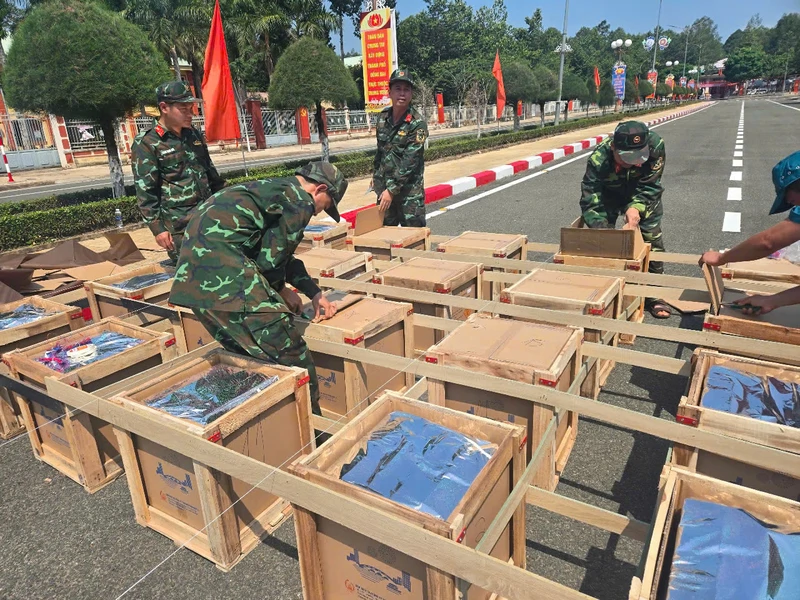 Làm nhiệm vụ trong ngày đặc biệt