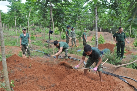 Thống nhất các khu vực đào tìm hài cốt liệt sĩ tại huyện Tân Châu, tỉnh Tây Ninh