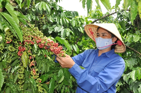 Kho K6, Cục Kỹ thuật Quân khu 7 - Sản xuất thân thiện với môi trường