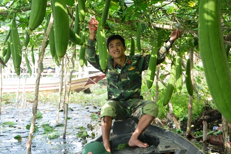 Những mảng xanh quanh doanh trại