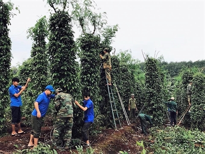 Chủ động phòng chống thiên tai, bão lũ
