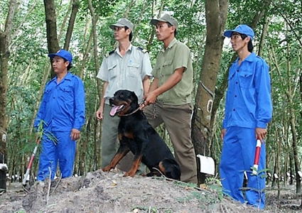 Ban CHQS Công ty Cổ phần Cao su Phước Hòa (Bình Dương): Nâng cao chất lượng lực lượng tự vệ và dự bị động viên