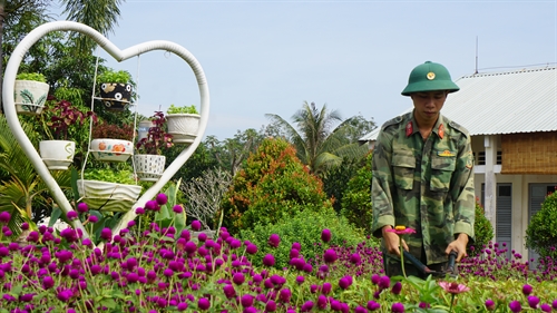 Sắc hoa ngày tết ở Sư đoàn 5