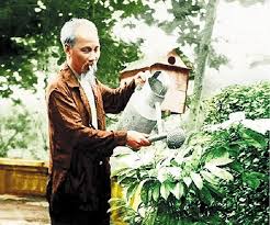 Lời Bác Hồ dạy ngày này năm xưa: “Tết trồng cây chẳng những có ý nghĩa kinh tế mà còn có ý nghĩa chính trị to lớn”