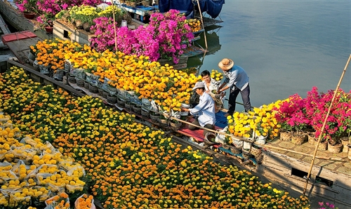 Giai điệu mùa Xuân