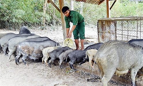 Binh nhất Điểu Díp năng nổ, nhiệt tình với nhiệm vụ