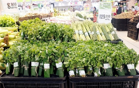 Bảo vệ môi trường là lẽ sống