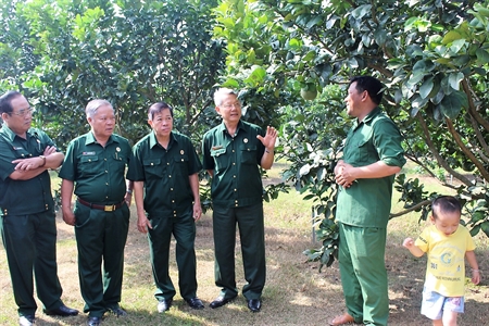 Kiểm tra công tác thi đua khen thưởng và phong trào CCB gương mẫu tại Đồng Nai