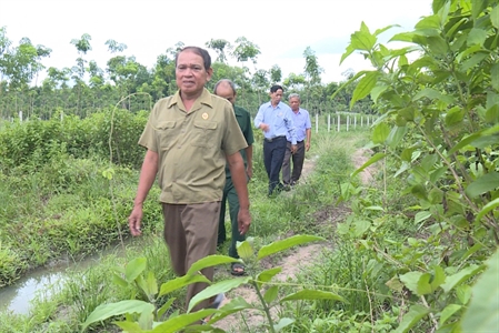 Người cựu chiến binh hiến đất làm đường, chỉnh trang đô thị