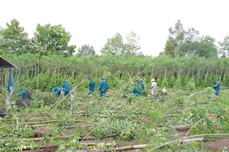 LLVT tỉnh Bình Phước  giúp nhân dân khắc phục hậu quả thiên tai