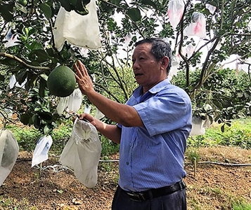 Huyện Phú Giáo, tỉnh Bình Dương: Những tấm gương thương binh tiêu biểu