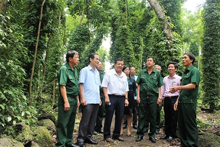 Trung ương Hội Cựu chiến binh (CCB) Việt Nam kiểm tra các hoạt động kinh tế tại Hội CCB huyện Cẩm Mỹ, tỉnh Đồng Nai