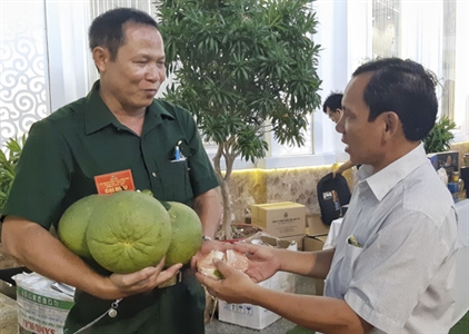 Cựu chiến binh tỉnh BR – VT giúp nhau phát triển kinh tế