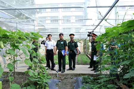 Ban chỉ huy quân huyện Bàu Bàng, tỉnh Bình Dương thi “Trụ sở chính quy xanh - sạch - đẹp” gắn với tăng gia sản xuất năm 2019