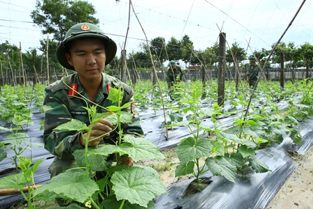 Một số giải pháp đấu tranh phòng, chống “Diễn biến hòa bình” trên lĩnh vực kinh tế
