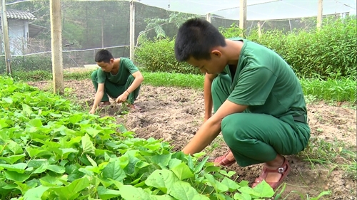 Lữ đoàn 23: Chủ động chăm sóc tốt sức khỏe bộ đội ngay tại cơ sở