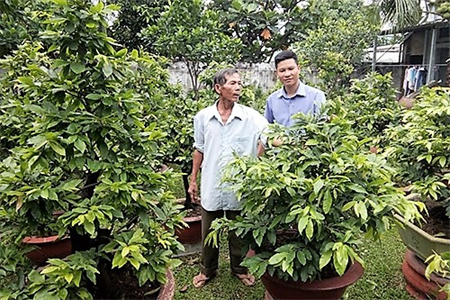 TX.Thuận An, tỉnh Bình Dương - Lan tỏa phong trào cựu chiến binh làm kinh tế giỏi