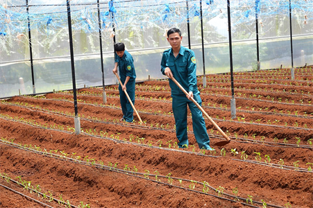 Huyện Lâm Hà, tỉnh Lâm Đồng - Hiệu quả từ một mô hình “Quỹ tình thương”