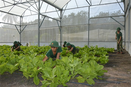 Tăng gia sản xuất giỏi ở Đại đội vùng biên