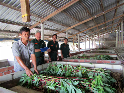 Cựu chiến binh Lâm Anh Tuấn nuôi dế thoát nghèo