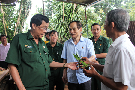 Đẩy mạnh phong trào thi đua CCB gương mẫu