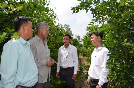 Ngày mới trên quê hương Bình Hòa Nam