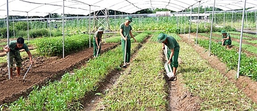 Tăng gia công nghệ cao