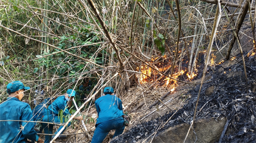 LLVT huyện Xuân Lộc, tỉnh Đồng Nai chữa cháy rừng