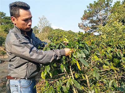 CCB xã Trạm Hành, Thành phố Đà Lạt, tỉnh Lâm Đồng tiên phong trên mặt trận phát triển kinh tế