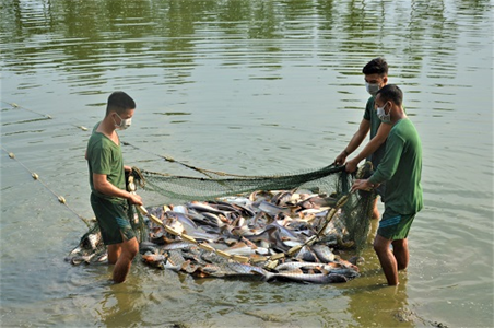 Trung đoàn 271: Bảo đảm hậu cần trong mùa chống dịch Covid-19