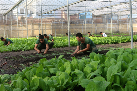 Trung đoàn Gia Định chủ động, sáng tạo trong bảo đảm hậu cần
