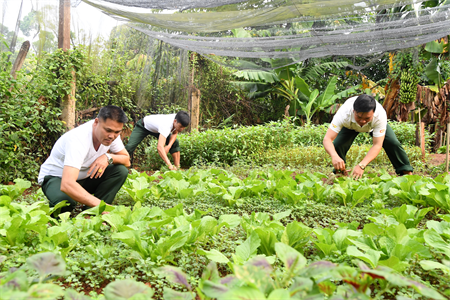 Đắc Ka vượt khó tăng gia
