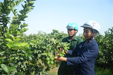 Nữ trưởng ấp nhiệt huyết trong công việc, hết lòng vì dân