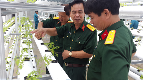 Bộ CHQS tỉnh Bình Dương đánh giá kết quả dự án tăng gia sản xuất giai đoạn 2015-2020
