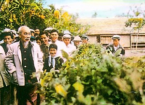 Về làng Sen quê Bác