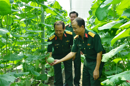 Kiểm tra công tác hậu cần Bộ chỉ huy quân sự tỉnh Bình Dương