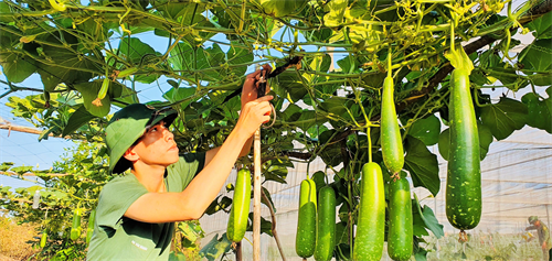 Ngành Hậu cần LLVT tỉnh Bà Rịa - Vũng Tàu: Nuôi quân giỏi, quản lý quân nhu tốt