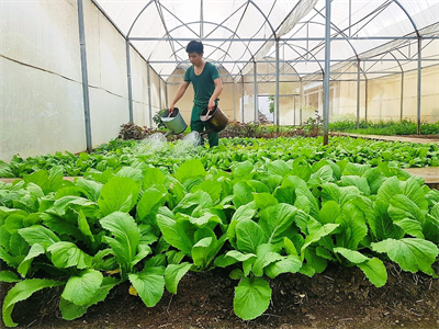 Bộ CHQS tỉnh Bà Rịa-Vũng Tàu bảo đảm tốt công tác hậu cần, tài chính, kỹ thuật cho nhiệm vụ 
huấn luyện, sẵn sàng chiến đấu