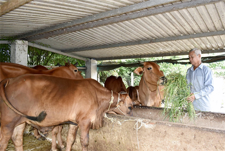 Những thương binh giỏi làm giàu, giàu  lòng nhân ái