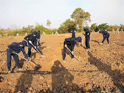 Hành trình tìm và đưa các anh về đất Mẹ