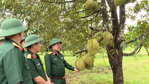 Xây dựng khu vực phòng thủ tỉnh Bình Dương hiệu quả, vững chắc