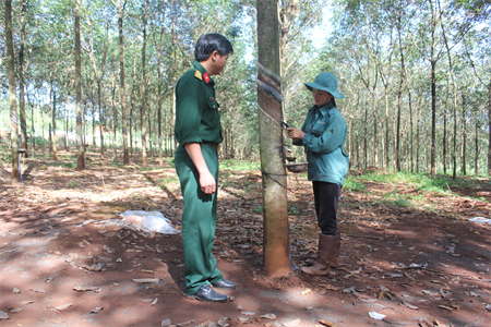 Bộ đội giúp dân làm kinh tế