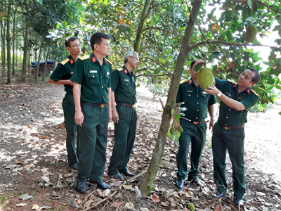 Bộ CHQS tỉnh Đồng Nai kiểm tra sự việc dụng đất quốc phòng