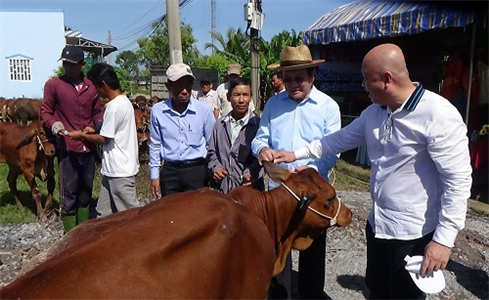 Trao tặng 104 con bò giống cho hộ nghèo thị xã Kiến Tường, tỉnh Long An