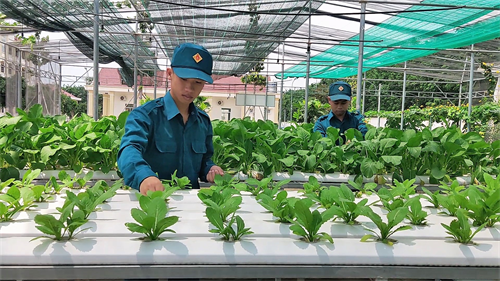 LLVT huyện Bắc Tân Uyên (Bình Dương): Thi đua tăng gia sản xuất