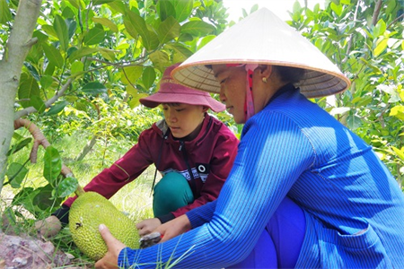 Cuộc sống mới nơi vành đai biên giới
