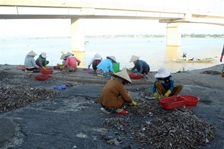 Biển miền Trung đã an toàn cho tắm biển, du lịch, nuôi trồng thủy sản